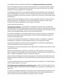 La estrategia competitiva utilizada por Papaking es la estrategia de penetración en el mercado