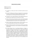 Trabajo práctico de sociología