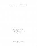 Derecho internacional público y de los derechos humanos