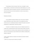 Procedimiento de la creación de champú de Cayena