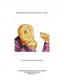 HUMANIDADES: DEL SALÓN DE CLASES A LA VIDA