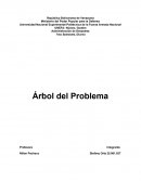 Fortaleciendo la resiliencia comunitaria: Proyecto para la preparación ante emergencias en el URB