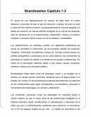 Ensayo Brandwasher Cap 1-3