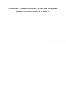 ENSAYO SOBRE LA PRIMERA CONFERENCIA DE FOUCAULT: LOS DOMINIOS DEL SABER APARTIR DELAS PRACTICAS SOCIALES