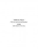 Tipos de gestion empresarial