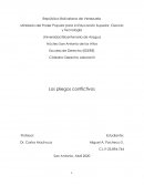 Pliegos conflictivos en Venezuela (Ensayo)