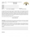 Germinación y factores ambientales: Identificando influencias en el ecosistema local