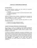 CAPITULO 3: ESTRATEGIA DE NEGOCIO