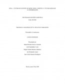 Importancia y trascendencia de los valores éticos empresariales