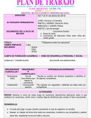 Plan de trabajo preescolar