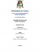 INFORME DE PRÁCTICAS Formas Farmacéuticas