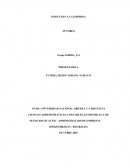 Induccion a la empresa