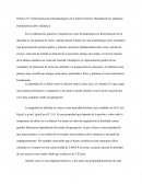 Práctico Nº 2:Determinaciones Bromatológicas de Carácter General: Densidad de los alimentos