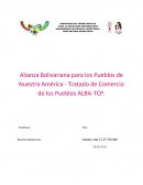 Informe del Alianzas de las América