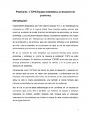 Practica No. 3 TOPS (Equipos orientados a la resolución de problemas)