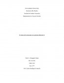 El retrato del Colonizado en la película de Malcolm X