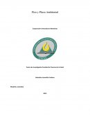 Pico y placa ambiental - Medellin