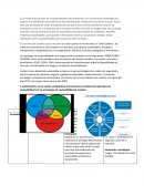 Estrategia de sostenibilidad de Codelco