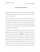 Los 4 planos del desarrollo Montessori