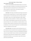 Abortos Legales, Ilegales, y Embarazos Ectópicos