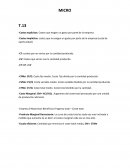 TEMAS MICRO - Apuntes 1