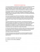 Administracion Respuestas examen final