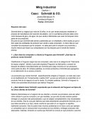 Caso schmidt y CO