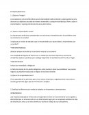 Ejemplo de plan estrategico. El Emprendedurismo