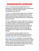 Campaña Contaminación Ambiental