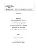 TRABAJO Сaso FLEXO SPRING