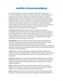 Análisis 7 Líneas Estratégicas