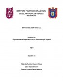 Organismos de Importancia en la Biotecnología Vegetal