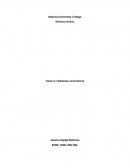 TAREA 3.1 Sistemas económicos