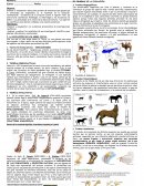 Guía N°1: “Teorías evolutivas y pruebas de la evolución"