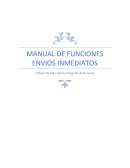 MANUAL DE FUNCIONES ENVIOS INMEDIATOS