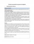 Significados de las madres de hijos con TEA