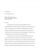 Actividad práctica Caso Remolques Caradú