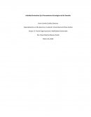 Actividad Evaluativa Eje 3:Pensamiento Estratégico de Mc Donalds