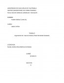 Argumentos del Caso de Chelsiry Paola Hernández Escalante