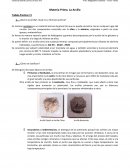 Materia Prima. La Arcilla. Trabajo Practico n°1