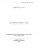 Elaboracion de tinta ecoloica