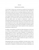 Ensayo derechos de los niños