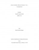 SUJETO COMUNIDAD E INTERACCIÓN SOCIAL