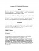 Microsoft para negocios