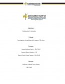 Investigación de marketing de la empresa Villa Aura