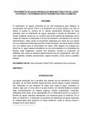 TRATAMIENTO DE AGUAS RESIDUALES MEDIANTE REACTOR DE LODOS ACTIVADOS Y DETERMINACIÓN DE PARÁMETROS FÍSICO-QUÍMICOS