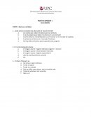 PRÁCTICA DIRIGIDA 1 Ciclo 2020-01