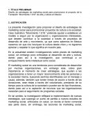 Diseño de estrategias de marketing social para promocionar el proyecto de la Fundación “Movimiento 1.618” de arte y cultura en Mexico
