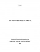 OPERACIONES DE SISTEMA DE GESTION AMBIENTAL