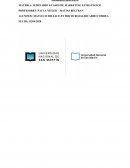 SEMINARIO S/CASOS DE MARKETING ESTRATEGICO